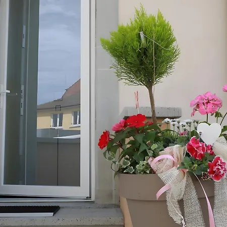 Saint-martin Proche Colmar Tatil Evi